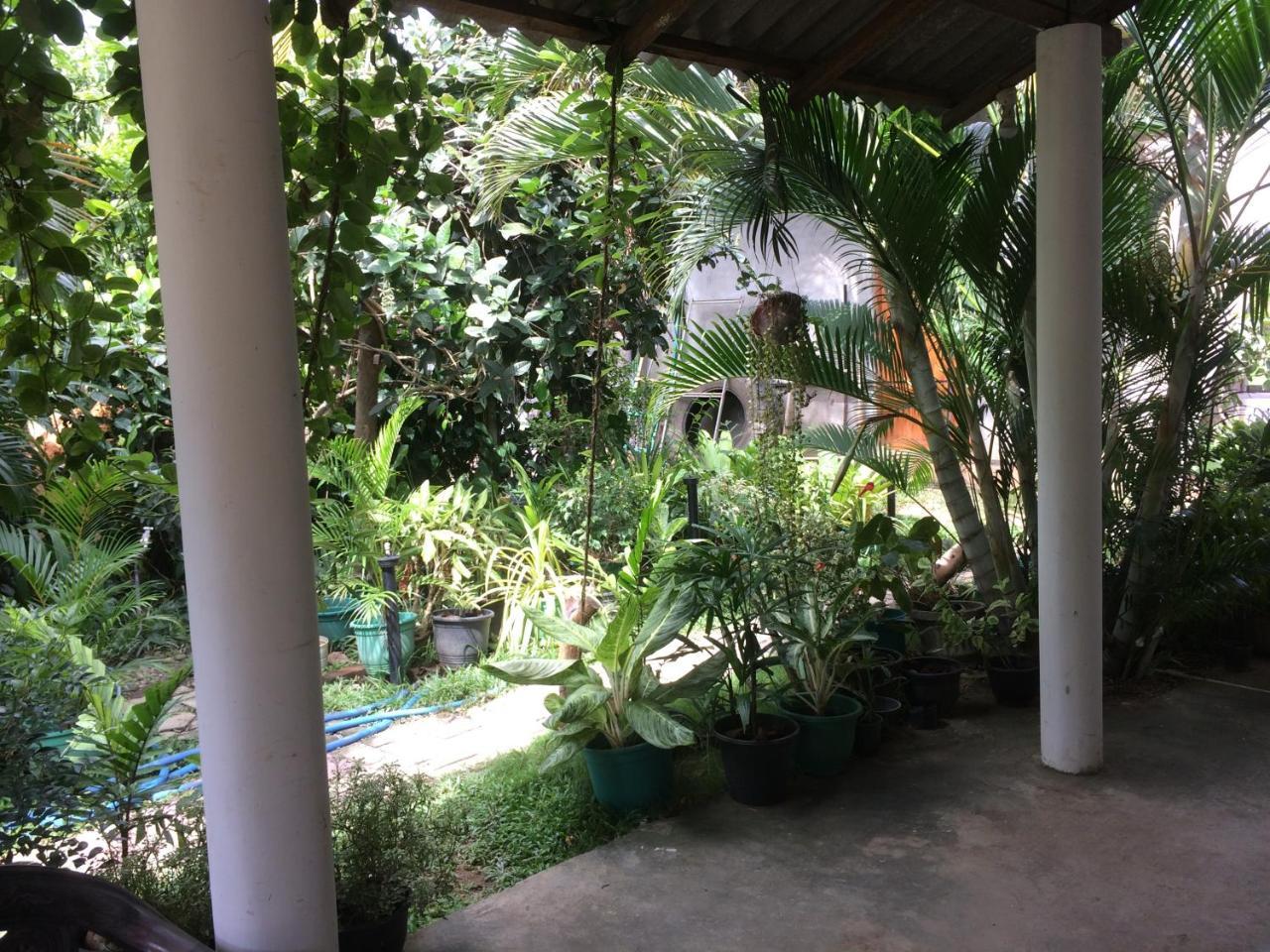 تيساماهاراما Hotel View Point المظهر الخارجي الصورة